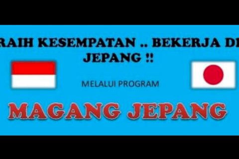 Minat Magang Ke Jepang Simak Prosedur Dan Persyaratan Seleksinya