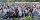Menteri SYL-Danny Pomanto Salat Idul Adha di Karebosi, Walkot: Momentum Persatuan
