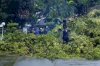 Pohon Tumbang Mengganggu Jalan? Laporkan ke DLH Makassar, Ini Nomor Pengaduannya