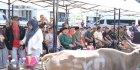 Iduladha 2026, Pemkot Makassar Salurkan Hewan Kurban untuk Masyarakat dan Cleaning Service