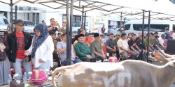 Iduladha 2026, Pemkot Makassar Salurkan Hewan Kurban untuk Masyarakat dan Cleaning Service