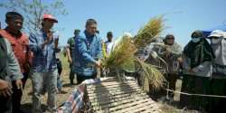 Hadapi Musim Kering, Pemkot Perkuat Dukungan Sarana Pertanian dan Teknologi untuk Petani Makassar